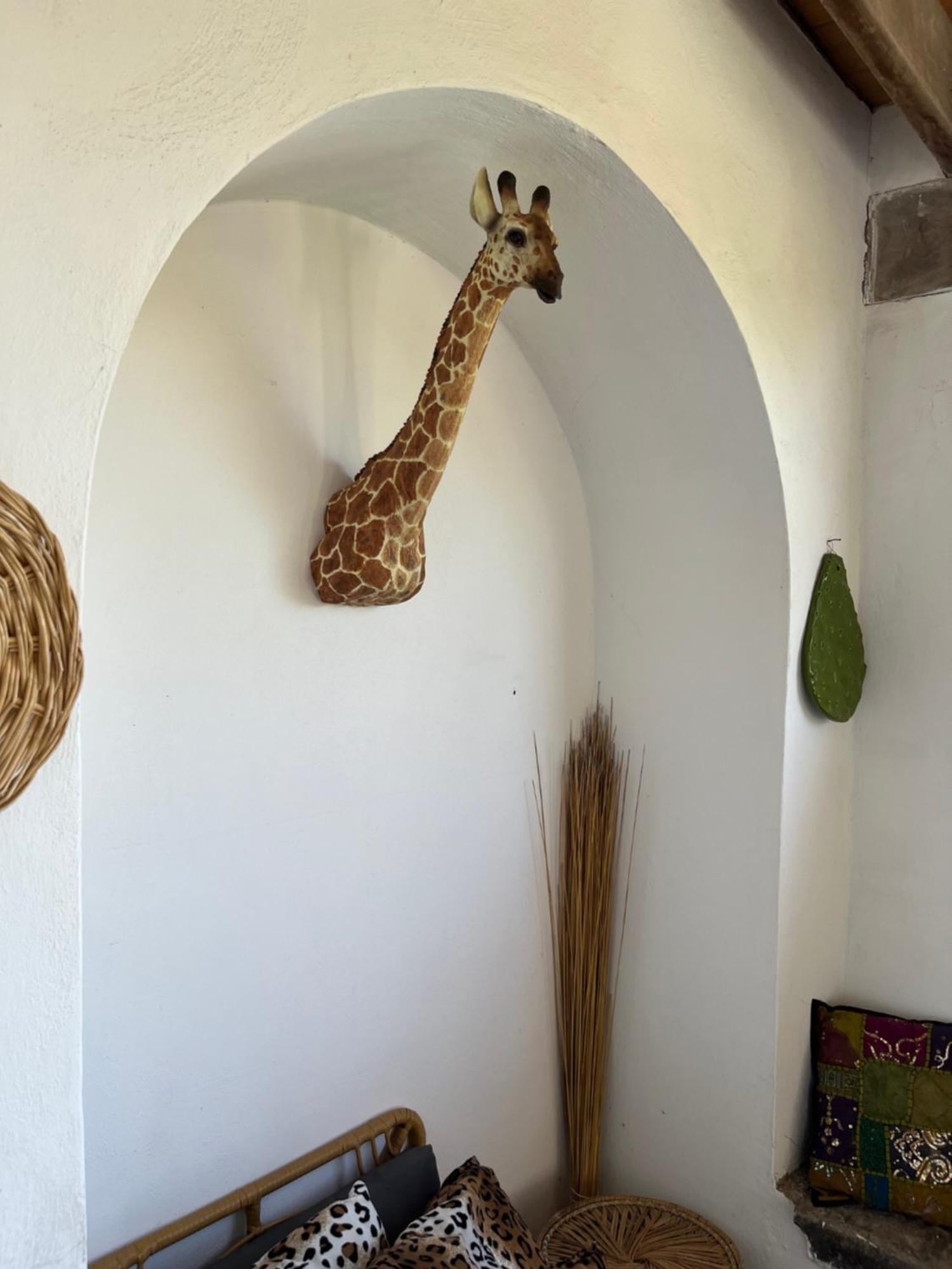 Villa Manni Procida Esterno foto