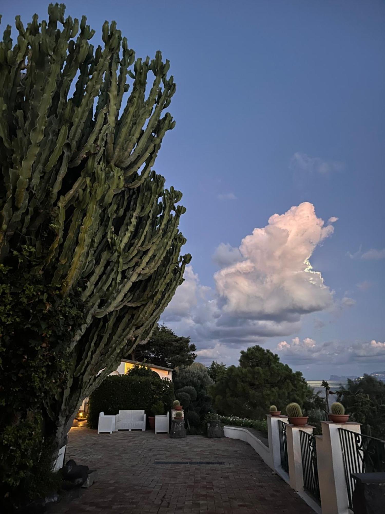 Villa Manni Procida Esterno foto